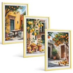 BILDER SET 3er Set - 40x60 cm Goldrahmen - Zitrusfrüchte im Garten
