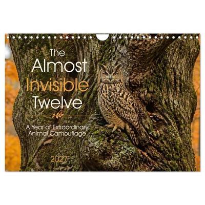 The Almost Invisible Twelve (Wall Calendar 2027 DIN A4 landscape), CALVENDO 12 Month Wall Calendar