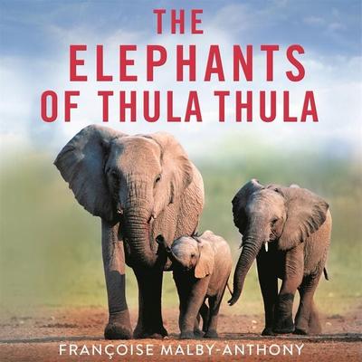 The Elephants of Thula Thula - Françoise Malby-Anthony, Audio, 9781529087666
