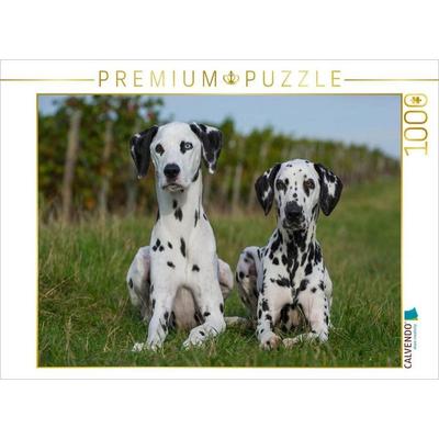 CALVENDO Puzzle Dalmatiner in den Weinbergen | 1000 Teile Lege-Größe 64x48cm Foto-Puzzle für glückliche Stunden