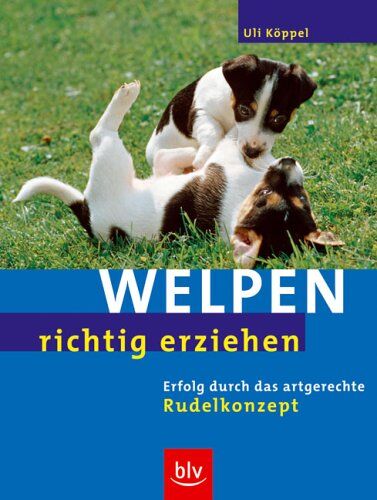 Uli Köppel - Welpen richtig erziehen. Erfolg durch das artgerechte Rudelkonzept - Preis vom 01.10.2026 17:08:56 h