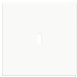 Busch-Jaeger Zentralscheibe 6479-84 2CKA006400A0449