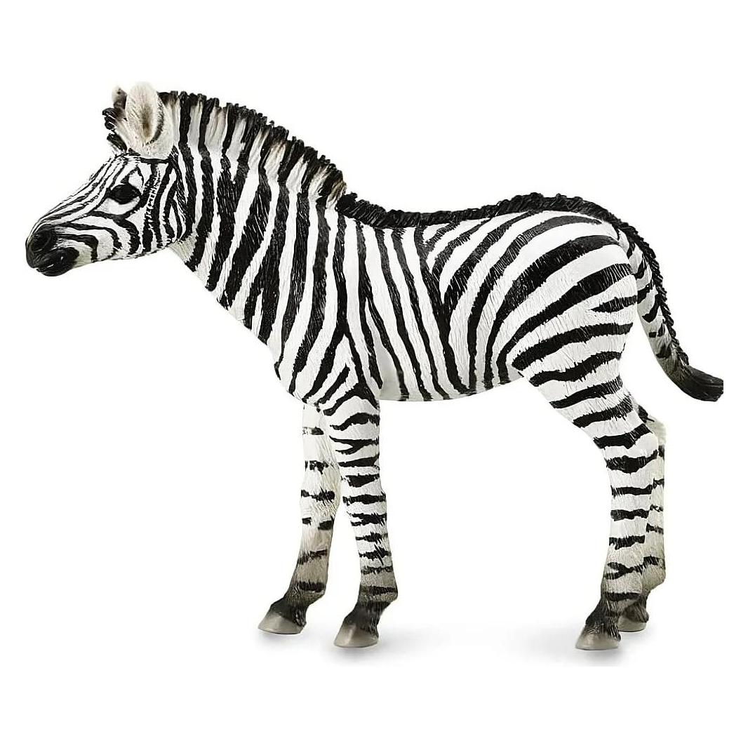 Collecta Zebrafohlen (M) (88850)