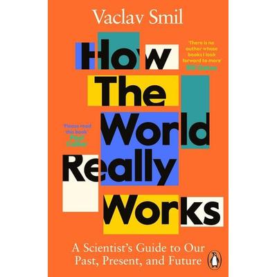 How the World Really Works, Taschenbuch von Vaclav Smil, Penguin Books Ltd, 978-0-241-98967-8
