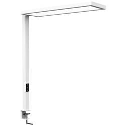 Maul 8258902 LED-Aufbauleuchte LED Lichtquelle durch Elektrofachkraft austauschbar 18 W Weiß