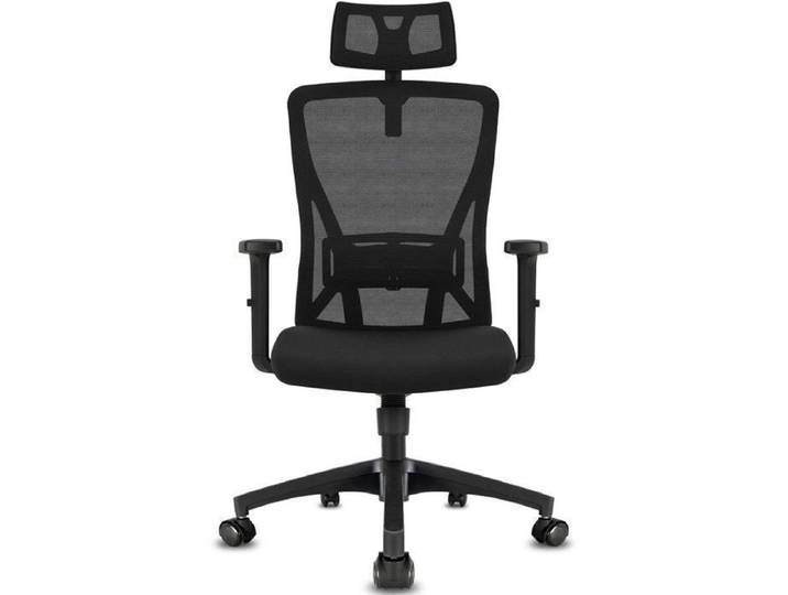 Durrafy Chaise de bureau ergonomique Avec accoudoirs appuie-tête&soutien lombaire réglables Chaise de bureau 150 kg Noir