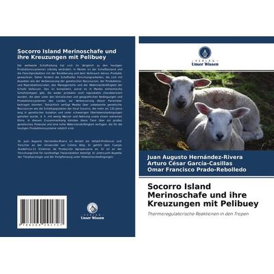 Socorro Island Merinoschafe und ihre Kreuzungen mit Pelibuey, Taschenbuch von Juan Augusto Hernández-Rivera,Arturo César García-Casillas,Omar