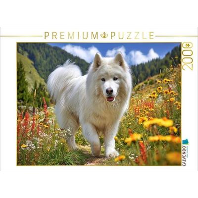 CALVENDO Puzzle Samojede auf der Bergwiese | 2000 Teile Lege-Größe 90x67cm Foto-Puzzle für glückliche Stunden, Sonstige von , Calvendo Puzzle