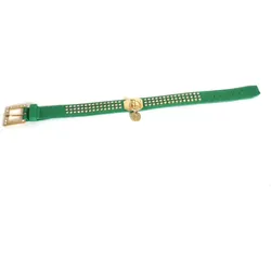 Martin Sellier Strass (25, Hund, Allgemein), Halsband + Leine