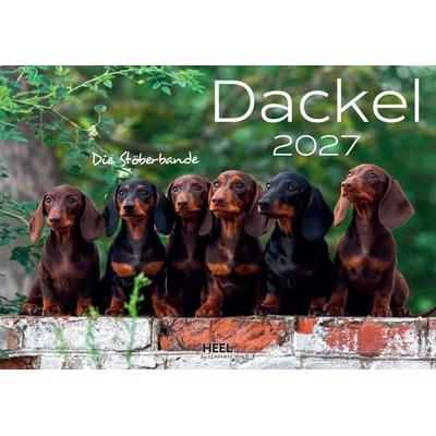 Dackel 2027 Wandkalender Hundekalender