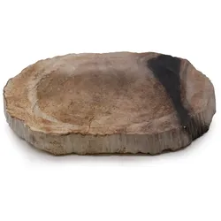 Petrified Wood Black Soap Dish