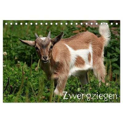 Zwergziegen (Tischkalender 2027 DIN A5 quer), CALVENDO Monatskalender