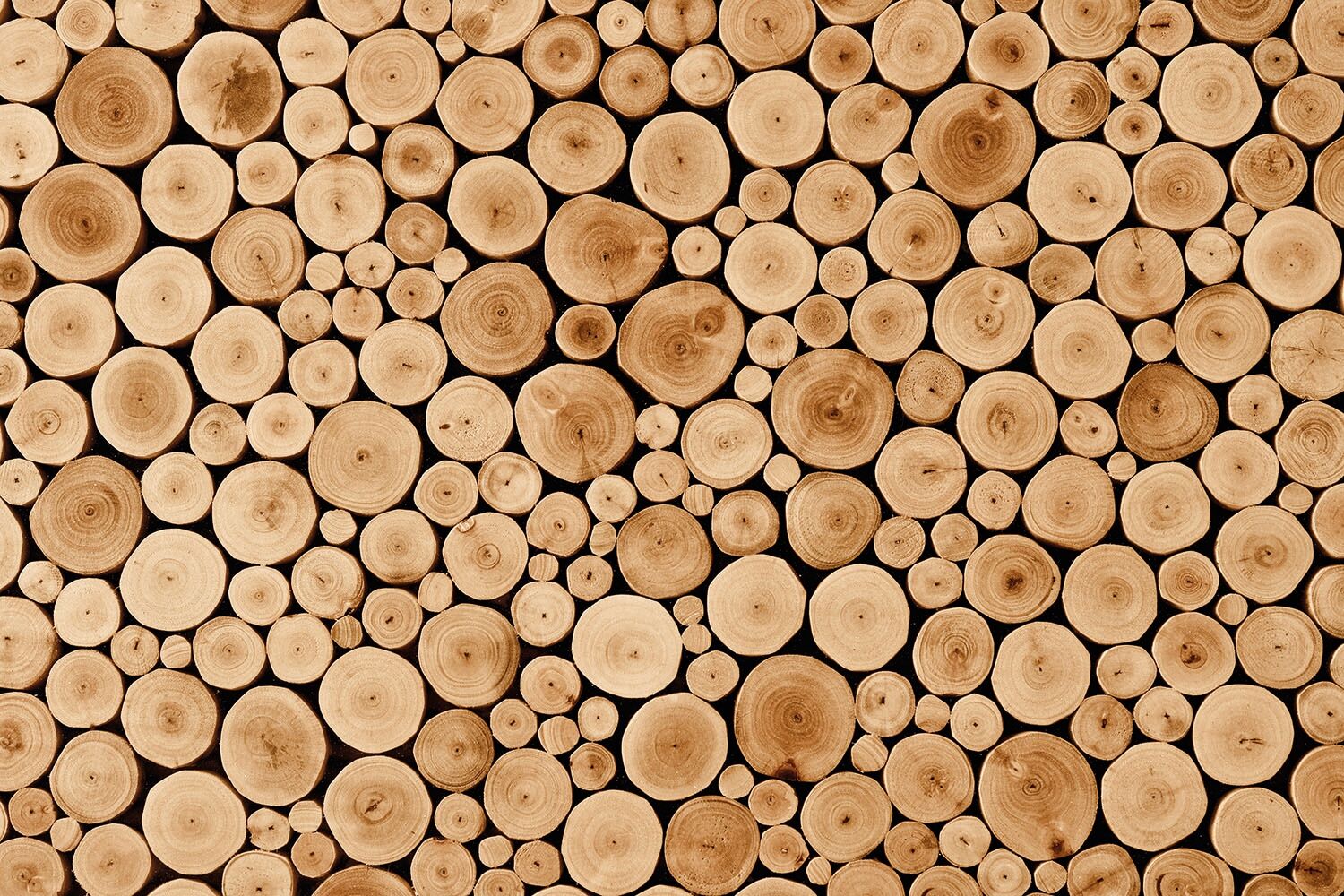 Fototapete PAPERMOON "Round Teak Wood", bunt, B:2,5m L:1,86m, Vlies, Tapeten, Fototapete