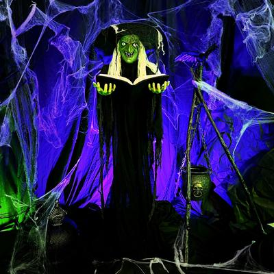 Haunted Hill Farm Lifesize 5.8-Ft. Poseable Witch with Spell Book, Lights and Sound, Indoor/Covered Outdoor Halloween Decoration