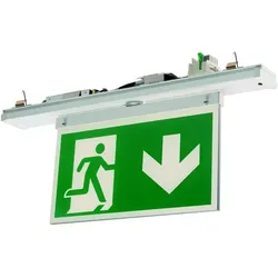Ridi-Leuchten Rettungszeichen-Modul VLMF-HW-B500-11SW-ED