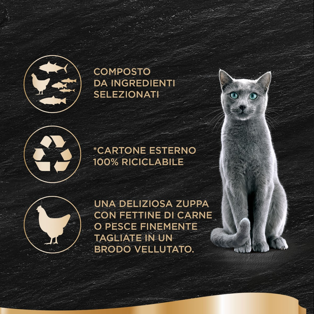 Sheba Soup Cat Busta Multipack 4x40G SALMONE