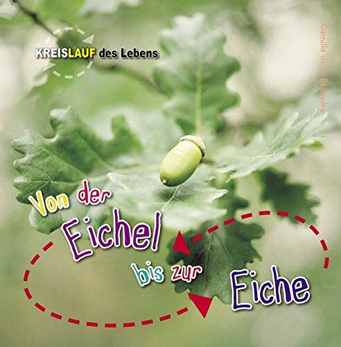 Camilla De la Bedoyere - Von der Eichel zur Eiche (Kreislauf des Lebens) - Preis vom 10.10.2026 11:48:34 h