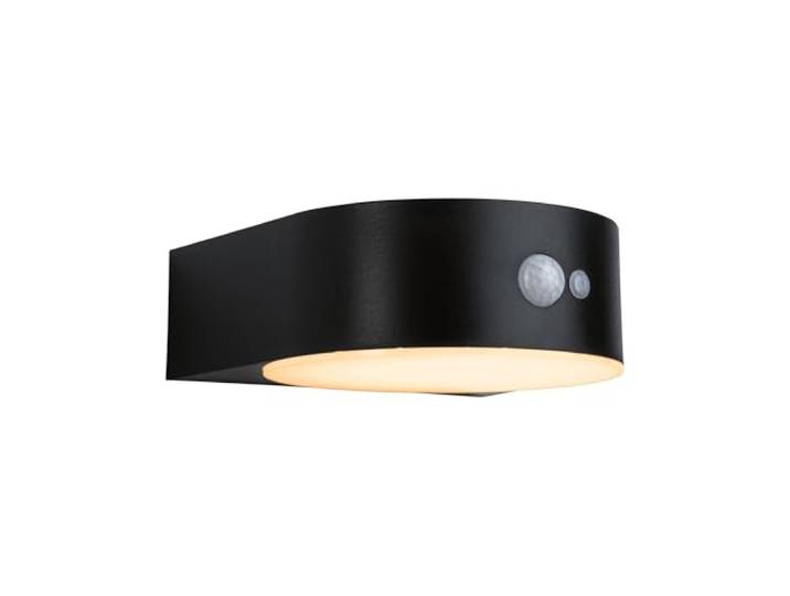 Paulmann Solar LED Applique extérieure Eileen Détecteur de mouvement respectueux des insectes IP44 2200K 300lm Noir 94730