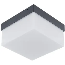 EVN Lichttechnik LED Wandanbauleuchte WAQ54091540