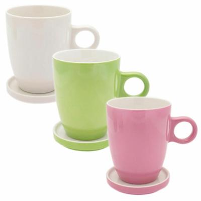 Pickwick Tea Porzellan Tassen + Tee Tips im Set, Glas, Tee, Untertasse