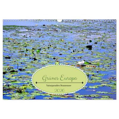 Grünes Europa - Naturparadies Drausensee (Wandkalender 2026 DIN A3 quer), CALVENDO Monatskalender