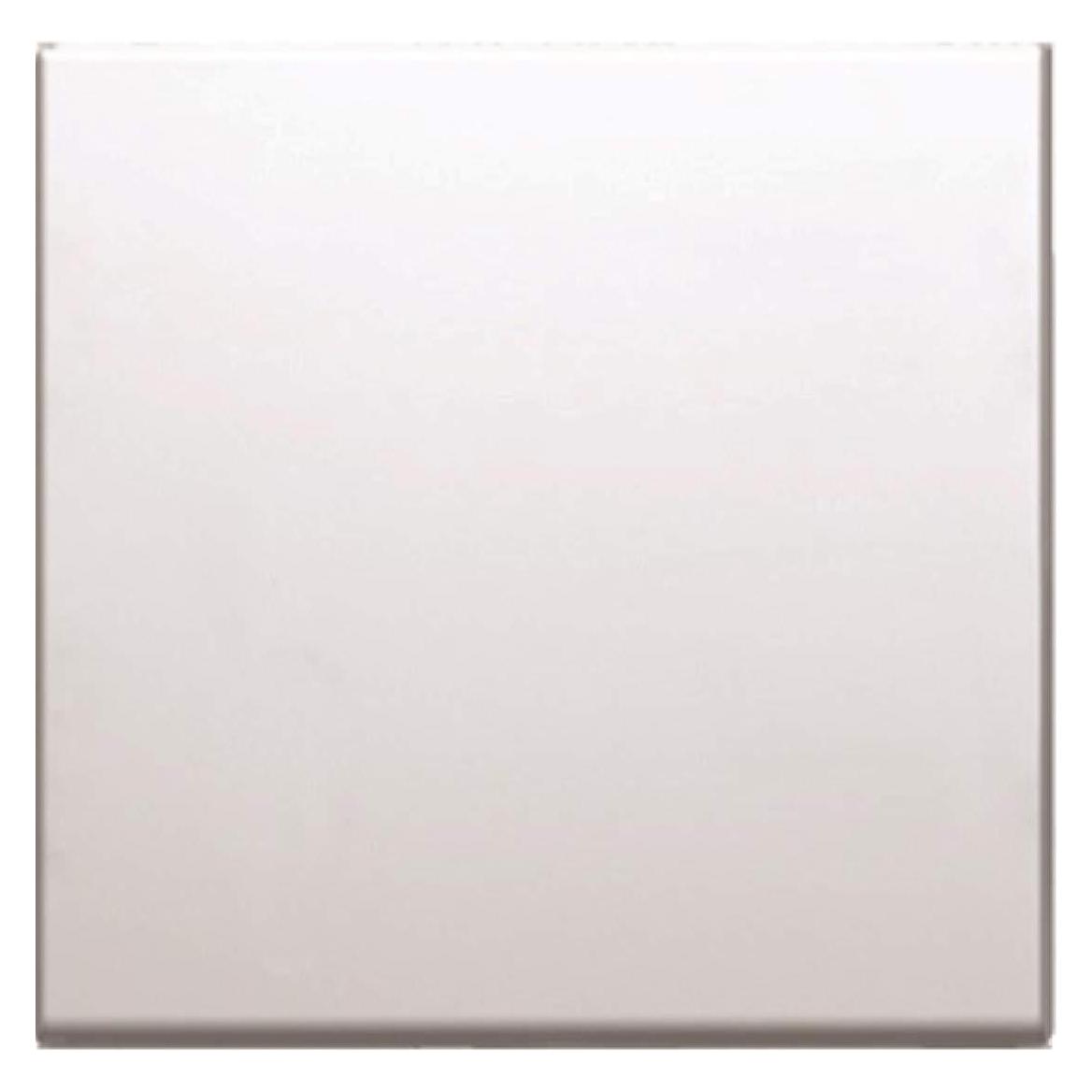 TEM Serie Modul Wippen BUTTON2M PW (TM12PW-U)