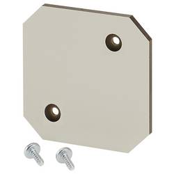 Hensel 62000255 Hensel Isolierstoff-Montageplatte 4mm stark EB MP 02 Montageplatte 1 St.