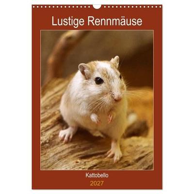 Lustige Rennmäuse (Wandkalender 2027 DIN A3 hoch), CALVENDO Monatskalender
