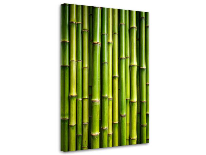 Feeby Leinwandbild Grüner Bambus Pflanzen 70x100cm, Orientalisch, Rechteckig, 70x100 cm, Bilder & Rahmen, Bilder, Leinwandbilder