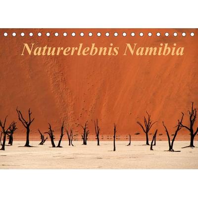 Naturerlebnis Namibia (Tischkalender 2022 DIN A5 quer)