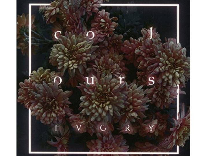 Colours - Ivory