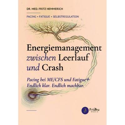 Energiemanagement zwischen Leerlauf und Crash, Taschenbuch von Fritz Hemmerich, Tredition, 978-3-384-96941-5