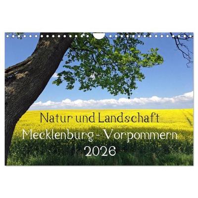 Natur und Landschaft Mecklenburg - Vorpommern 2026 (Wandkalender 2026 DIN A4 quer), CALVENDO Monatskalender