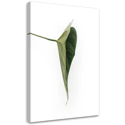 WANDBILD grünes blatt natur botanisch