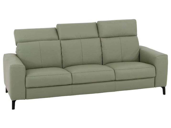 Sofa Caladja B: 220 cm Rom / Farbe: Sage / Bezugsmaterial: Leder