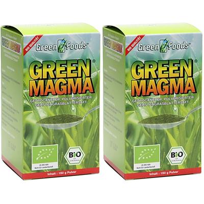 Green Magma Gerstengrasext Bio 2x 2x150 g Pulver