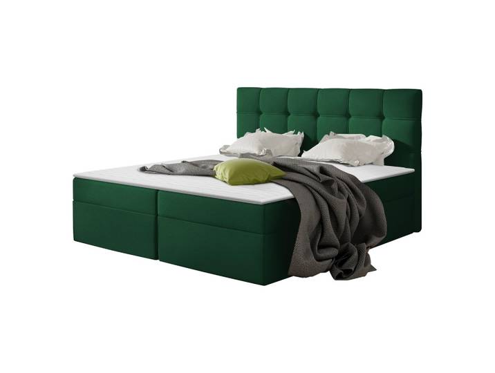 BOXBETT Nele - H3