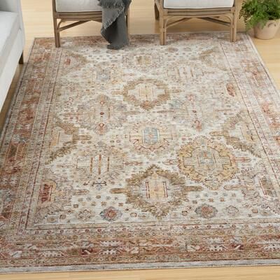 Nourison Petra Traditional Vintage Persian Area Rug