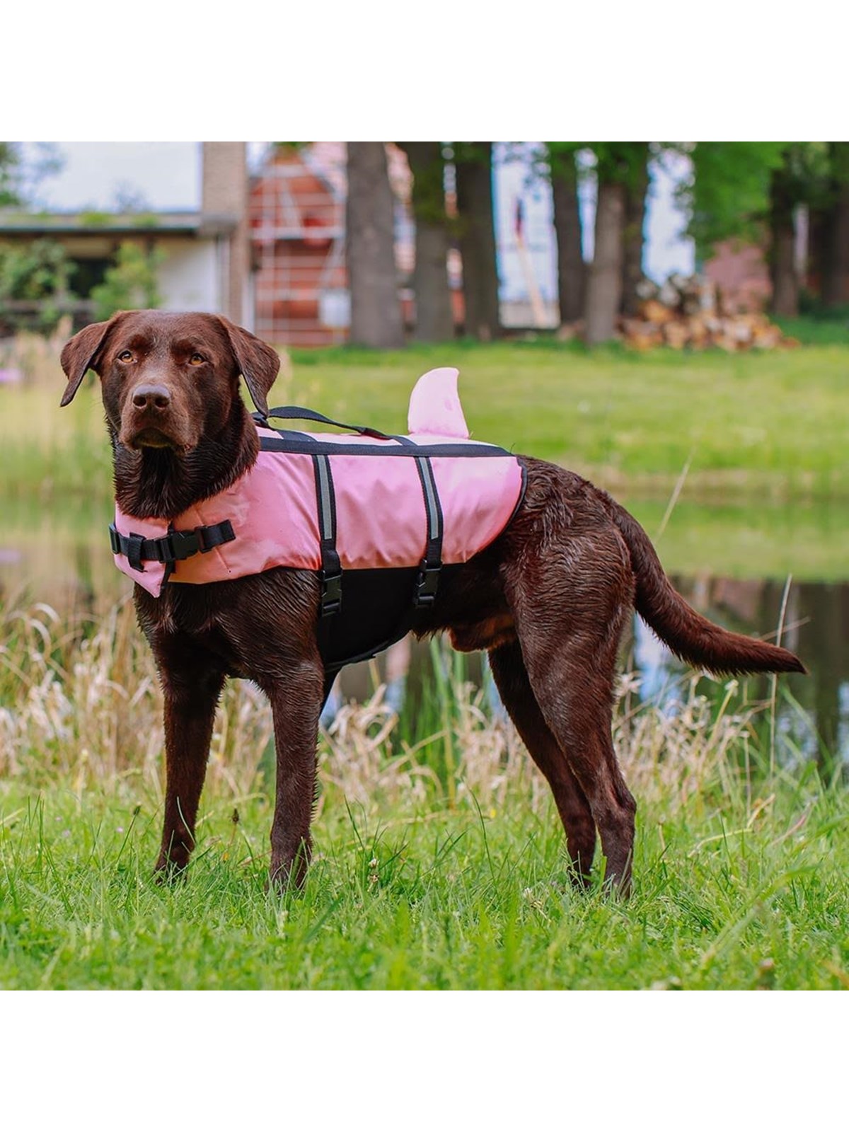 Nobby Rettungsweste Sharki, Pink, S