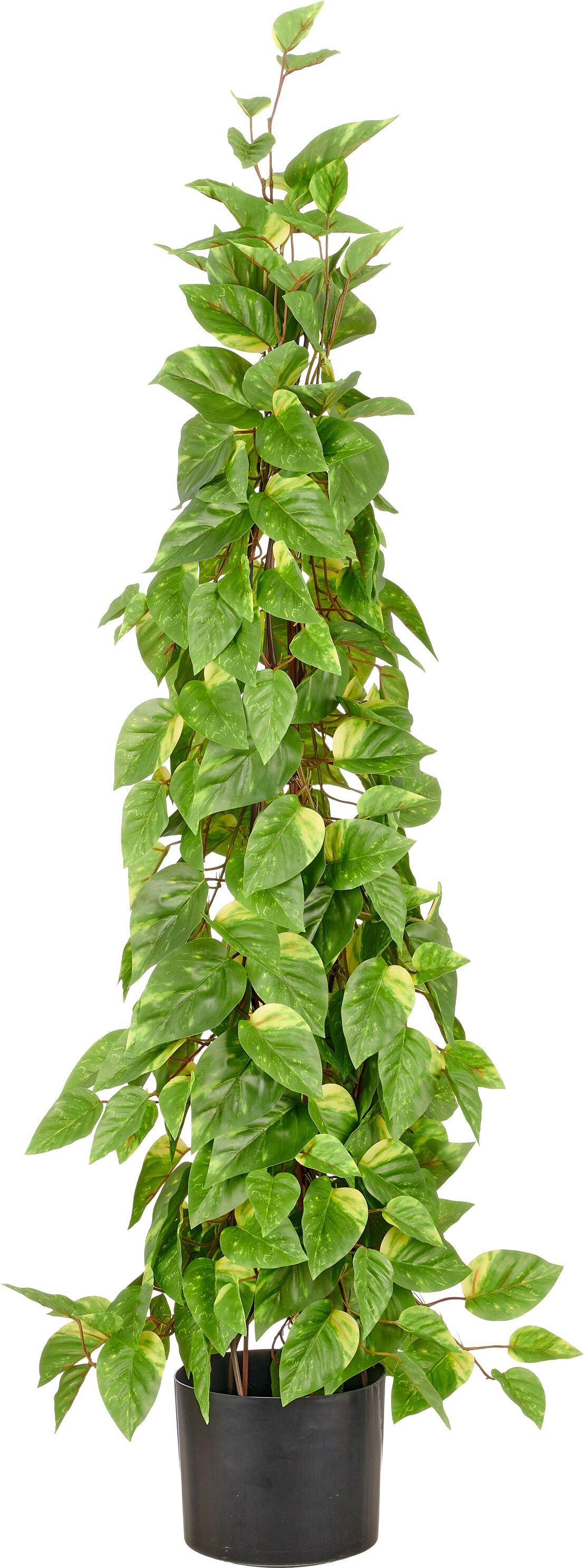 Kunstpflanze CREATIV GREEN "Epipremnum", grün, H:125cm, Obermaterial: 100% Kunststoff, Kunstpflanzen, Kunstpflanze, in Pyramidenform
