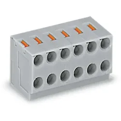 WAGO 2-Leiter-Federleiste PUSH WIRE,grau 252-106