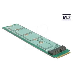 DELOCK 65831 - Konverter M.2 Key M > M.2 Key E Slot