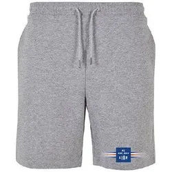FC Blau-Weiß Linz Sweatshort - grau / 3XL