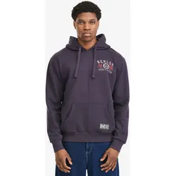 BENLEE Herren Kapuzensweatshirt normale Passform LLANARTH