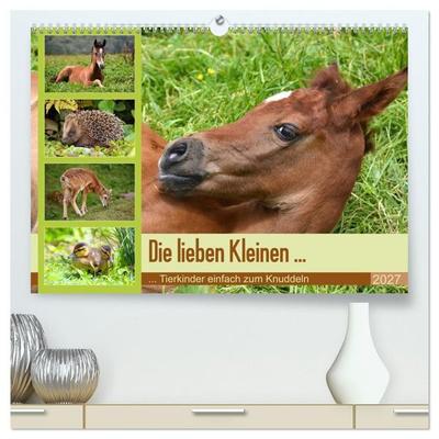 Die lieben Kleinen... Tierkinder einfach zum Knuddeln (hochwertiger Premium Wandkalender 2027 DIN A2 quer), Kunstdruck in Hochglanz