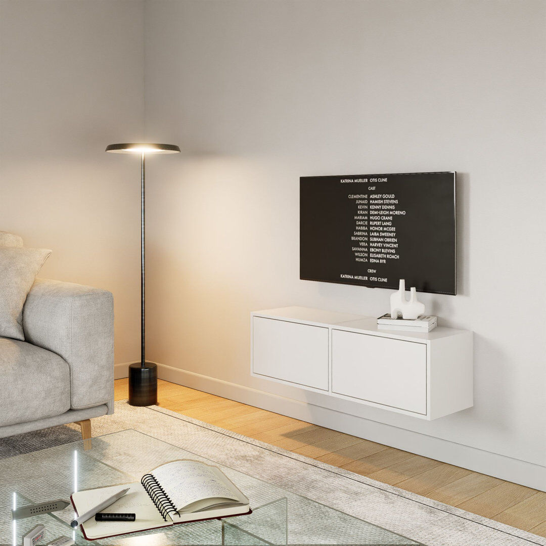 17 Stories Takiea TV Stand for TVs up to 48" White 48"