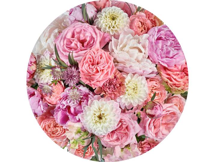 Fototapete, Mehrfarbig, Blume, Tapeten & Wandverkleidungen, Fototapeten