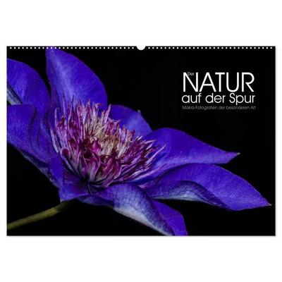 Der Natur auf der Spur - Makro-Fotografien der besonderen Art (Wandkalender 2027 DIN A2 quer), CALVENDO Monatskalender