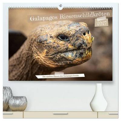 Die Riesenschildkröten der Galapagos Inseln (hochwertiger Premium Wandkalender 2027 DIN A2 quer), Kunstdruck in Hochglanz
