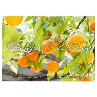Emotionale Momente: Orangen & Zitronen. (Wandkalender 2027 DIN A2 quer), CALVENDO Monatskalender